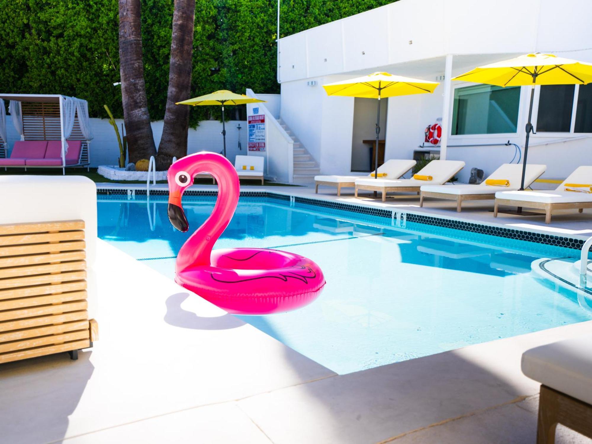 The Cactai Hotell Palm Springs Exteriör bild