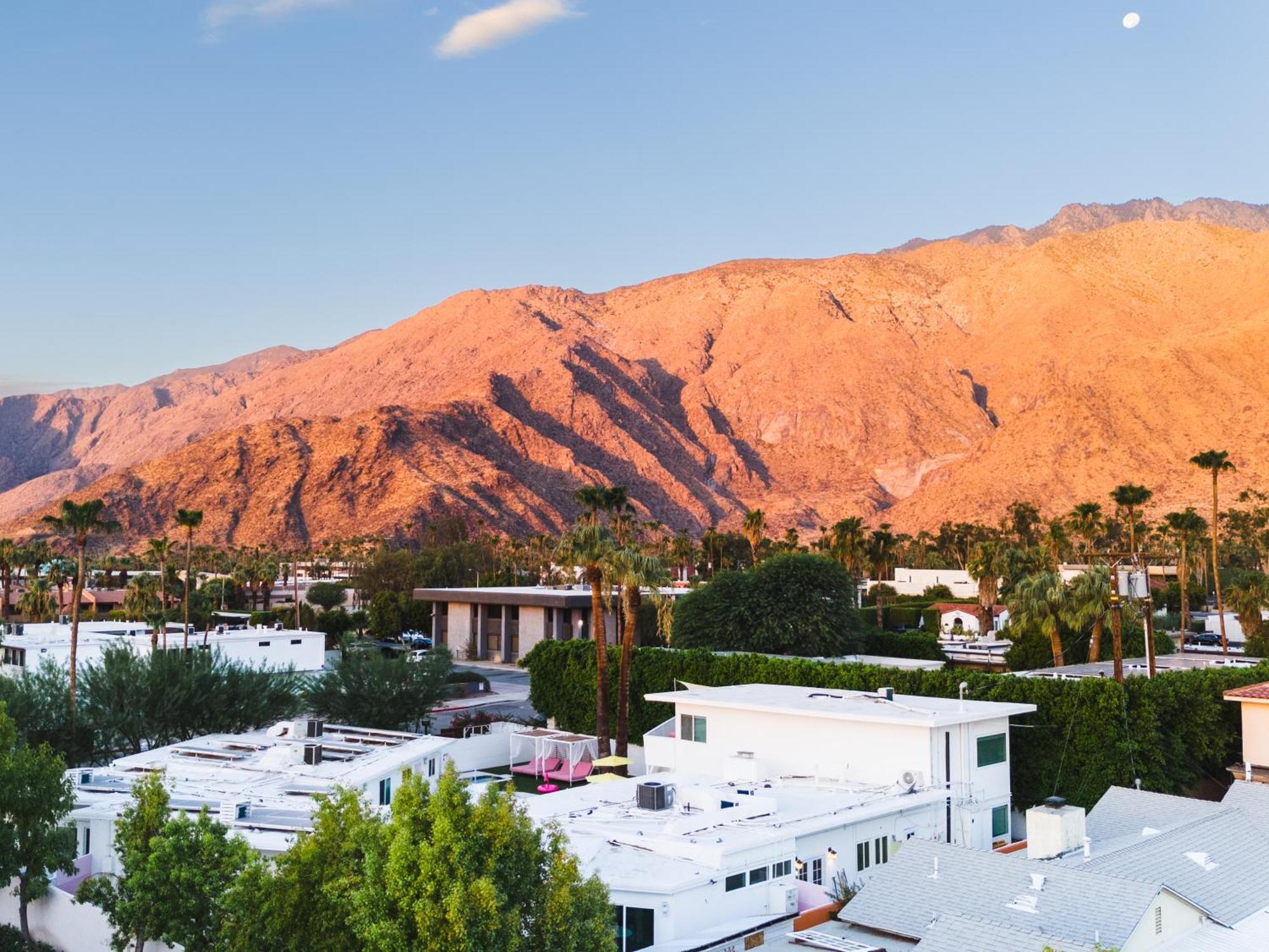The Cactai Hotell Palm Springs Exteriör bild